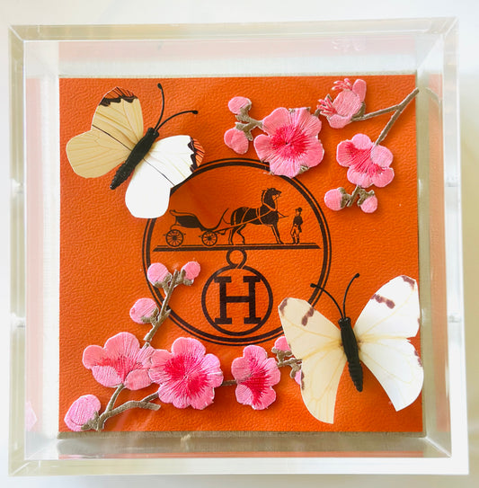 6x6 Orange H Acrylic Designer Box