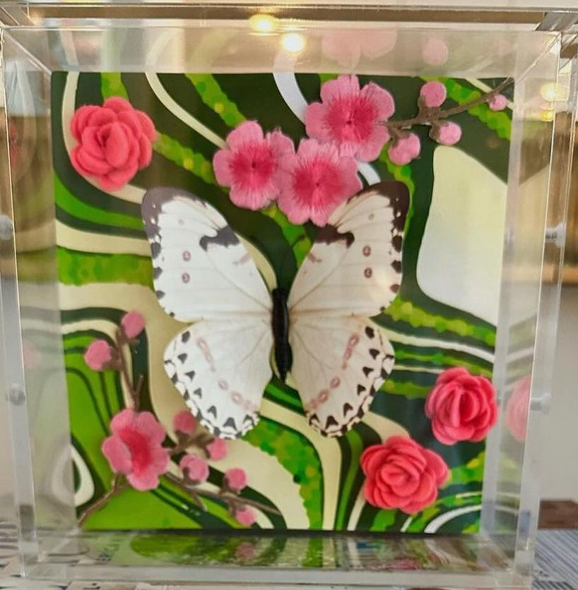 Butterfly Acrylic Box