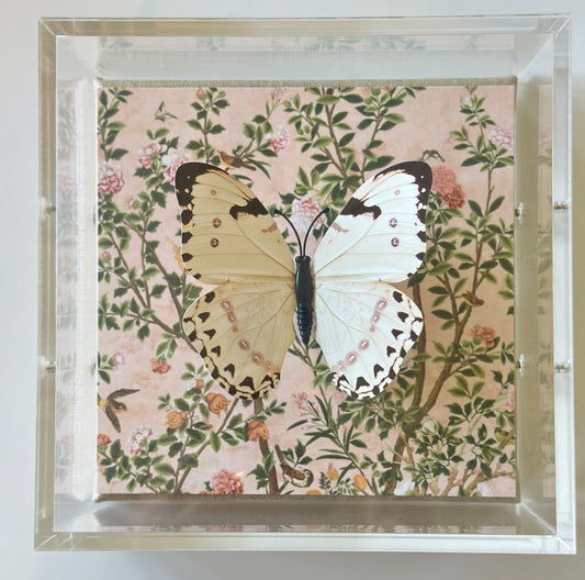 6x6 Pale Pink Butterfly Acrylic Box